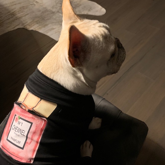 Meet your Posher, Ceri - Picture 2 of 2